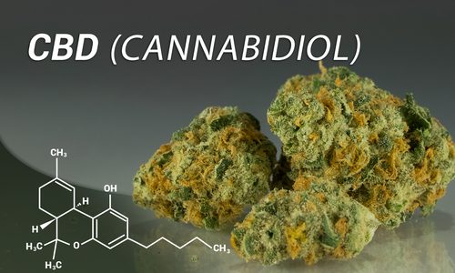 olio cbd contro il mal di testa