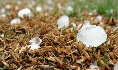 Come scegliere la migliore copertura antigrandine