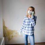 Muffa e umidità nelle case consigli utili per risolvere il problema